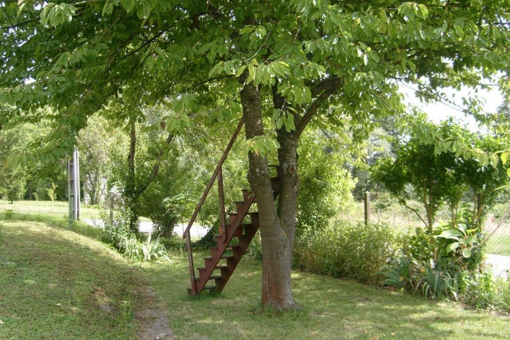 Petite Maison Au Bord Du Canal, 8' Zoo De Beauval, Pmr Noyers-sur-Cher Esterno foto
